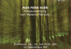 ausstellung_petrovic_flyer_20180714